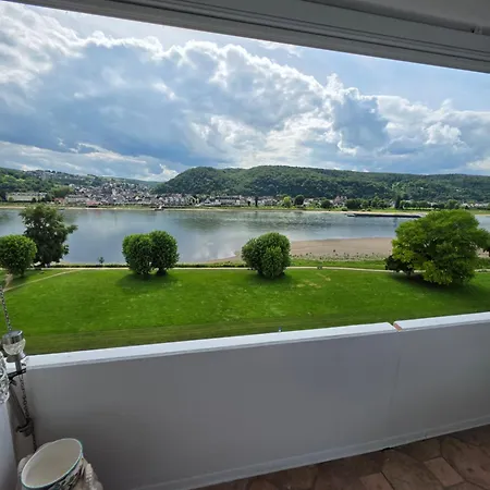 Rhein Blick